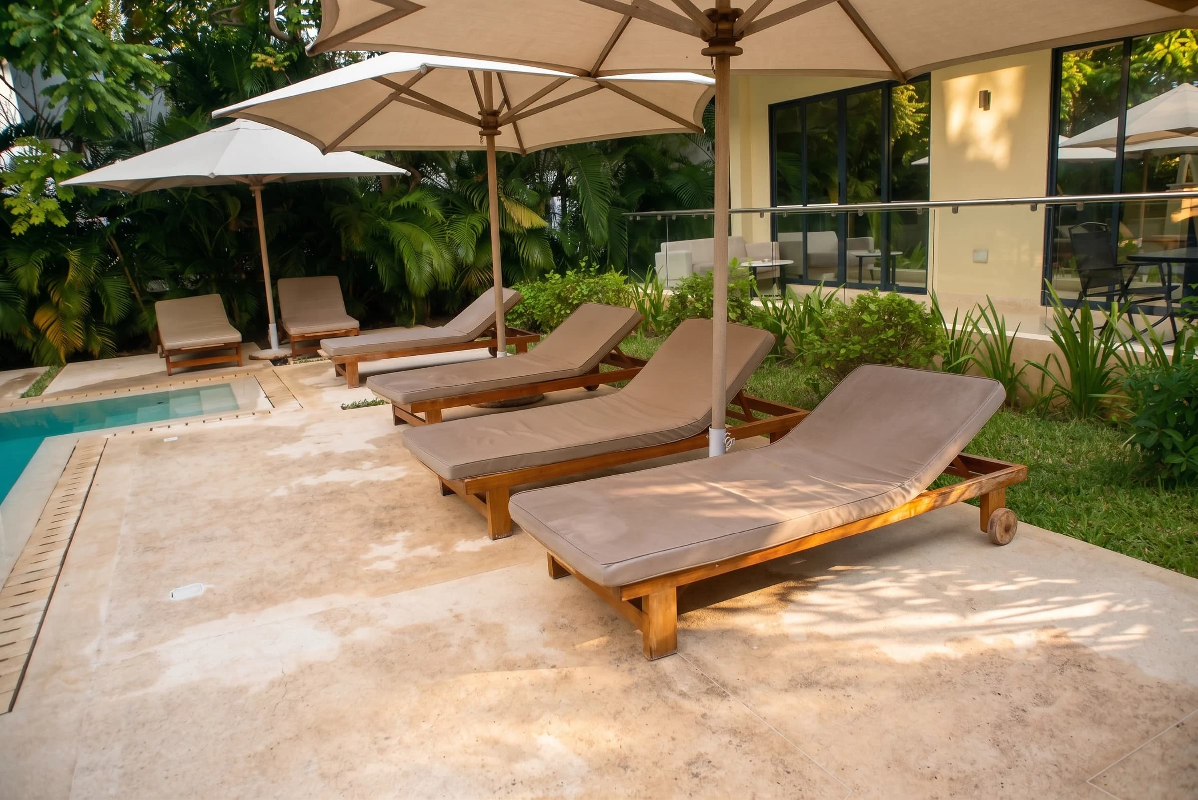 Poolside Loungers & Palms